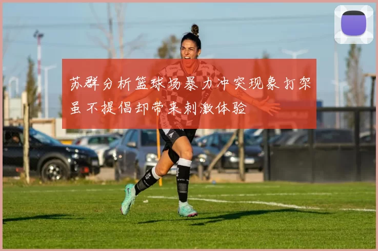 苏群分析篮球场暴力冲突现象打架虽不提倡却带来刺激体验